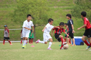 IMG_8997 2.JPG